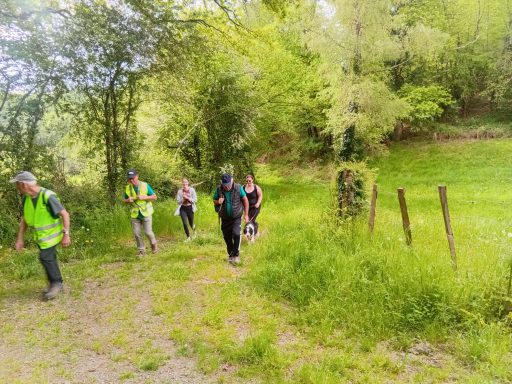 Groupe de randonneurs marchant sur un sentier verdoyant en forêt.
