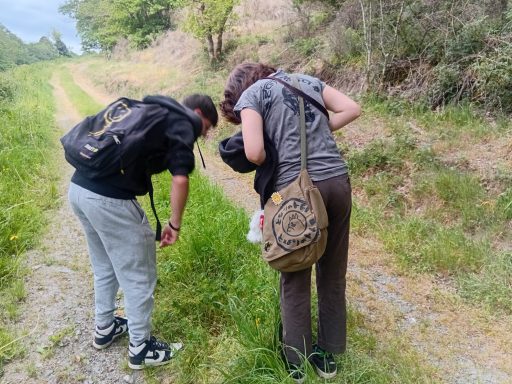Deux personnes s'agenouillent sur un chemin, observant attentivement le sol.