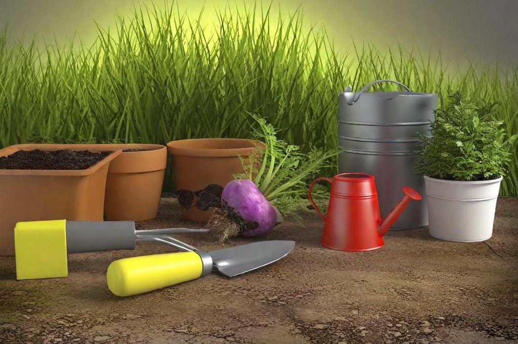 Outils de jardinage, pots de fleurs, arrosoir rouge et légumes sur un sol meuble.